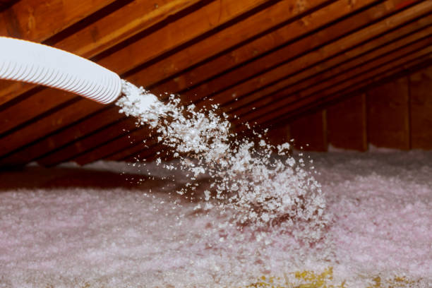 Best Commercial Insulation Services  in Hilton Head Island, SC