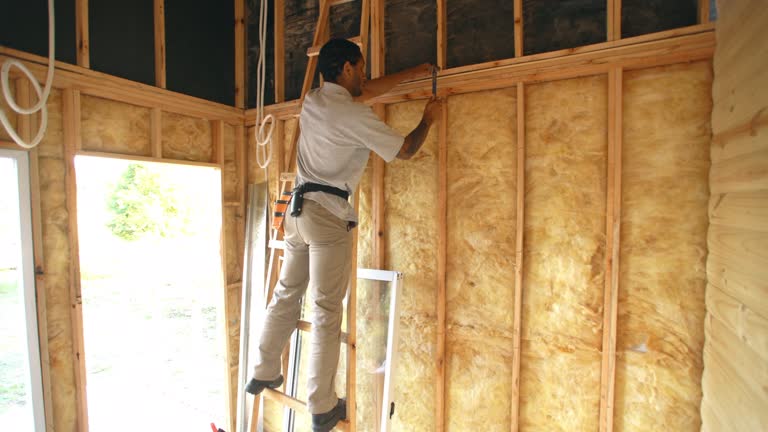 Eco-Friendly or Green Insulation Solutions in Hilton Head Island, SC